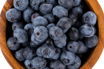 blueberries isolated close up