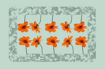 Illustration of red meadow flowers with frame on light background