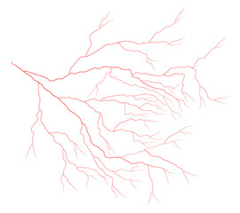 eye vein vector symbol icon design. Beautiful illustration isolated on white background