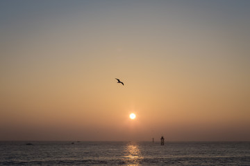 The rise of the sea, korea