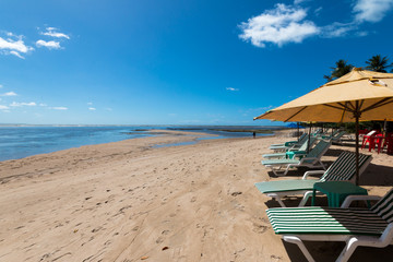Sunshades and beach chairs on tropical island