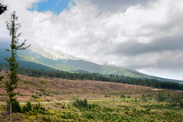 Fototapeta na wymiar Summertime landscape with forest felling in the foreground against the background of mountains High Tatras, part of the Western Carpathians in the Slovakia