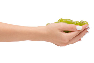 Female hands with grape bunches