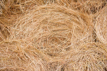Storage with piles of stacks of hay
