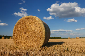 Straw bales on a stubble field on a sunny afternoon in summer