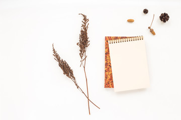 Autumn workplace. Notebook, pine cone, dried branches on white background. Flat lay, top view. Autumn background