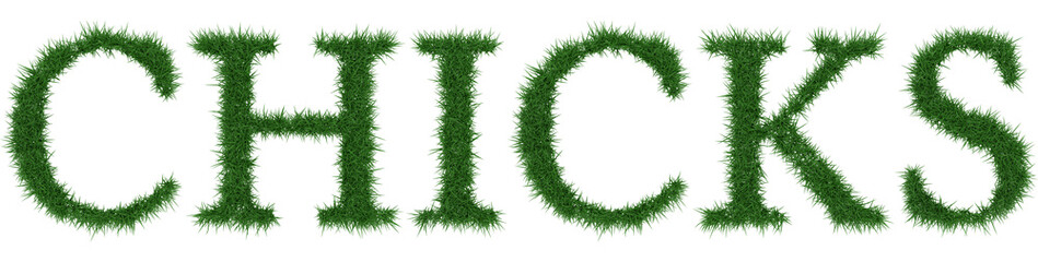 Chicks - 3D rendering fresh Grass letters isolated on whhite background.
