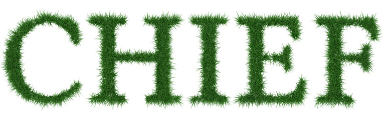 Chief - 3D rendering fresh Grass letters isolated on whhite background.