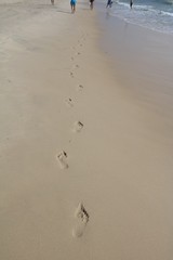 Traces in the sand beach of Broadbeach Gold Coast in Queensland, Australia 