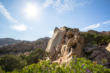 Fototapeta na wymiar Landscape with yellow rocks on Sardinia, Italy
