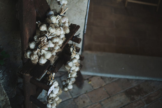 Detail of garlic plants in tuscany