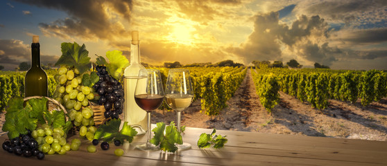 Wine at sunset, vineyard landscape 