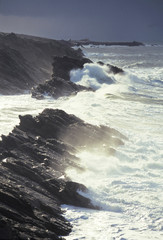 Quiberon,  Morbihan, Bretagne, France. Tempête sur la côte sauvage.