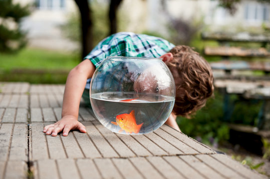 Little boy with aquarium decorative fish
