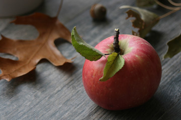 Single organic mcintosh apple with leaves over fall themed rustic background