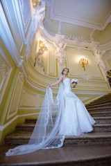 Beauty bride in bridal gown with lace veil indoors