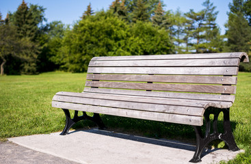 Wood bench in a park on a sunny day
