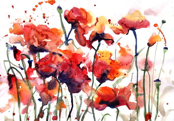 Рисунок акварелью по сырому "Яркие красные маки"