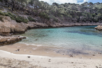 The calanques of Marseille