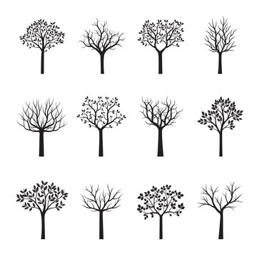 Set of black Trees. Vector Illustration.