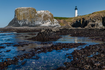 Yaquina Head Lighthouse