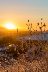 Obraz premium Cheeo Li's photography collection