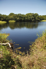 Lagoa feia (Parque Estadual Paulo Cesar Vinha) | Ugly lagoon fotografado em Guarapari, Espírito Santo -  Sudeste do Brasil. Bioma Mata Atlântica.