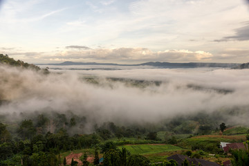 Mountain and mist