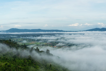 Mountain and mist