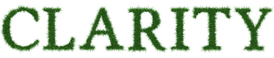Fototapeta premium Clarity - 3D rendering fresh Grass letters isolated on whhite background.