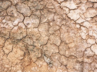 Cracked dry soil