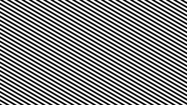 Zebra Line Background. Digital 3d illustration backdrop