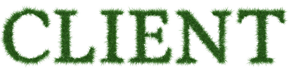 Client - 3D rendering fresh Grass letters isolated on whhite background.