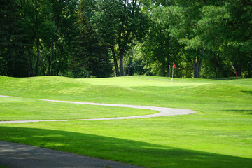 Fototapeta premium winding pathway in green meadow in golf course 