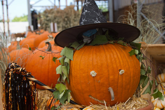 Pumpkin Witch