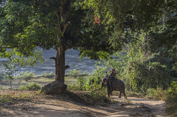 Riding the elephant. Landscape. South. Journey. - 169638557