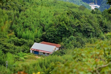 Green mountain in the Hsinchu,Taiwan.