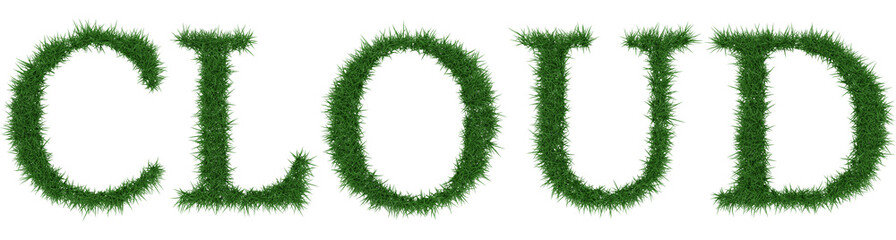 Cloud - 3D rendering fresh Grass letters isolated on whhite background.
