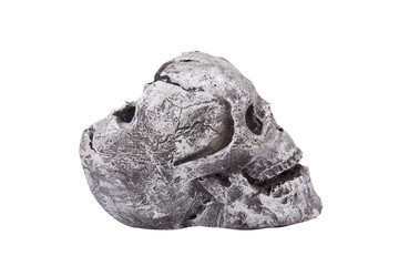 stylized skull  on a white background