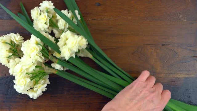 4k Spring overhead timelaspe with Springtime Erlicheer jonquil daffodils on a rustic wood table background.