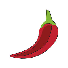 Colorful chili doodle over white background vector illustration