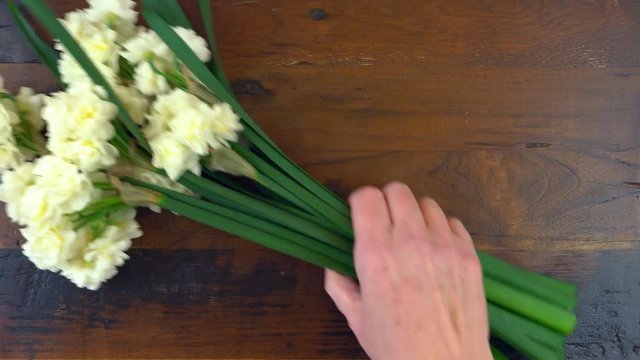 4k Spring overhead timelaspe with Springtime Erlicheer jonquil daffodils on a rustic wood table background.