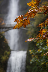 Fall foliage and waterfall background