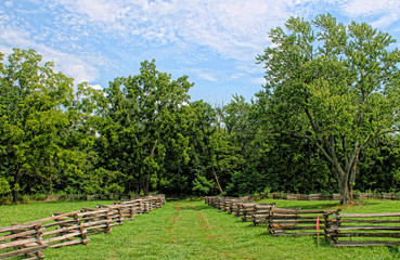 Fototapeta na wymiar Rural landscape with wooden fence