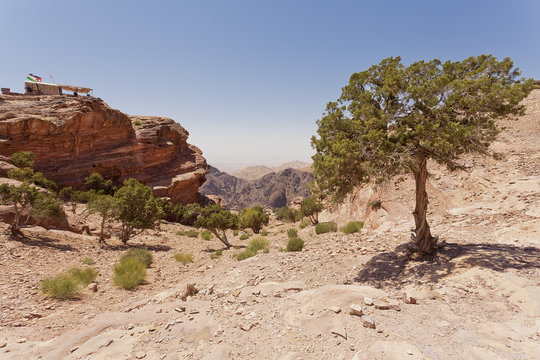 Landscape of the desert in Jordan 