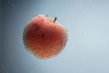 Single apple floating in blue water