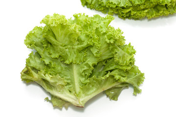 fresh lettuce isolated on white background