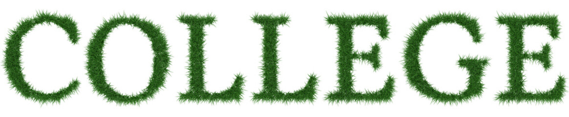 College - 3D rendering fresh Grass letters isolated on whhite background.