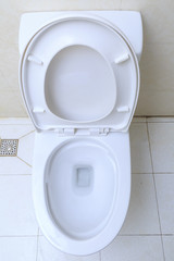 Flush toilets