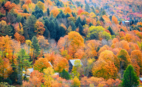 Fall foliage in Vermont mountains